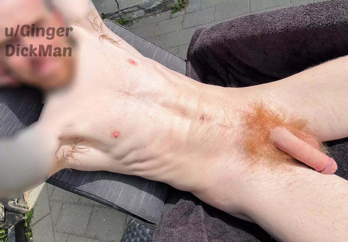 My first post here. Is me and my ginger pits welcome here :)  posted by GingerDickMan