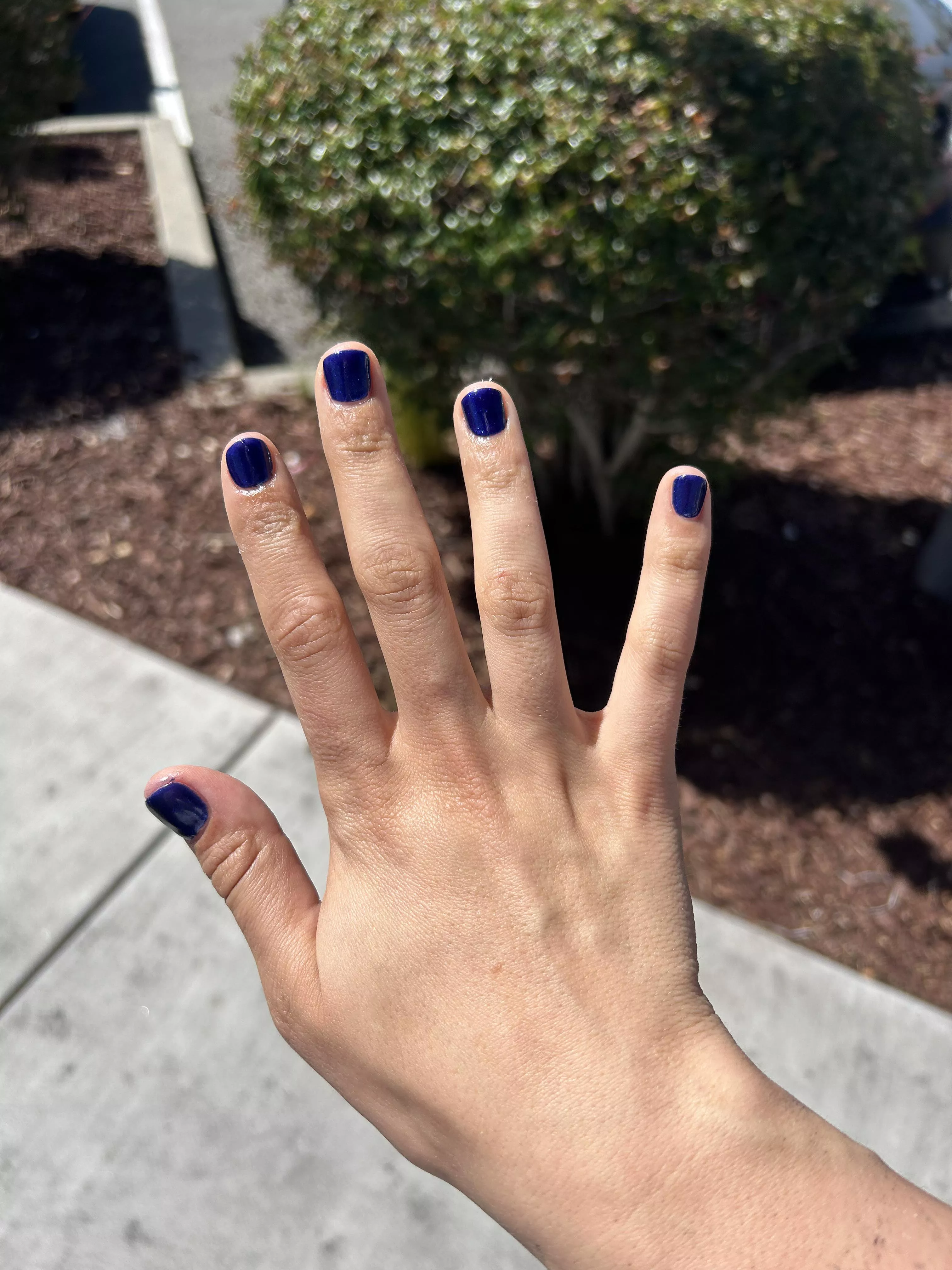 my hands today posted by ShiftAccomplished579