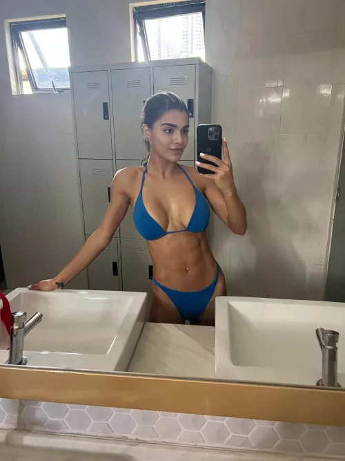 Persian x German by namiyaaa2025