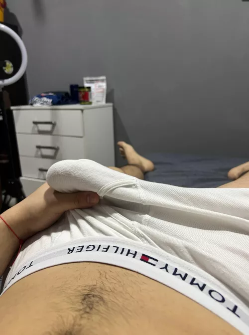 would you suck my cock? by ReedZayn