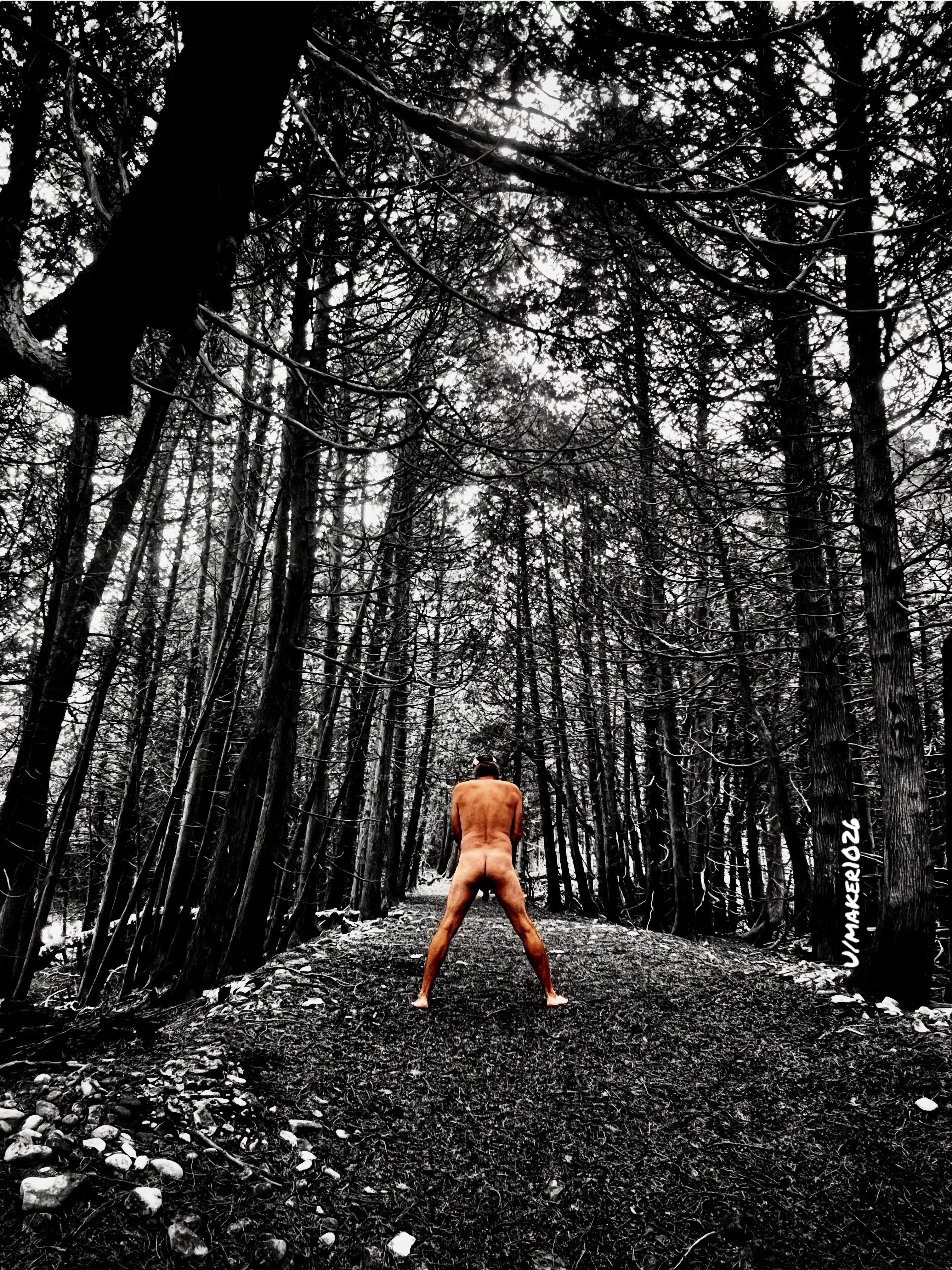 A little color in the woods! posted by maker1026