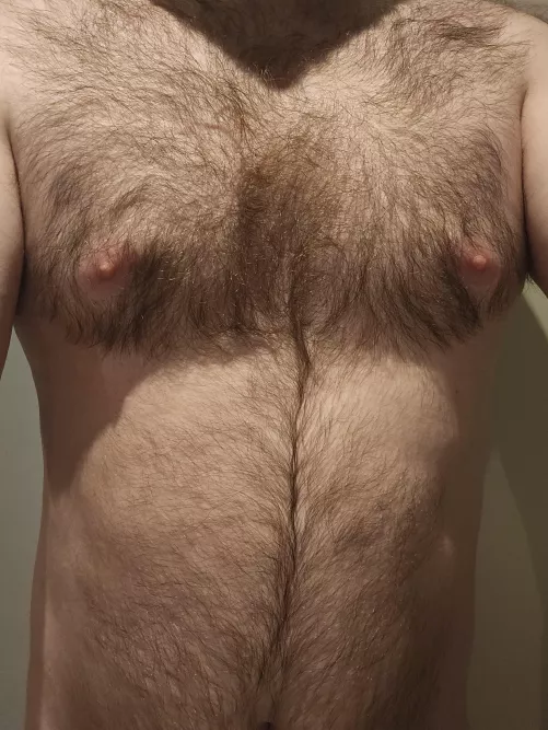 Any love for this hairy chest? 31 m4f by exoticbull31