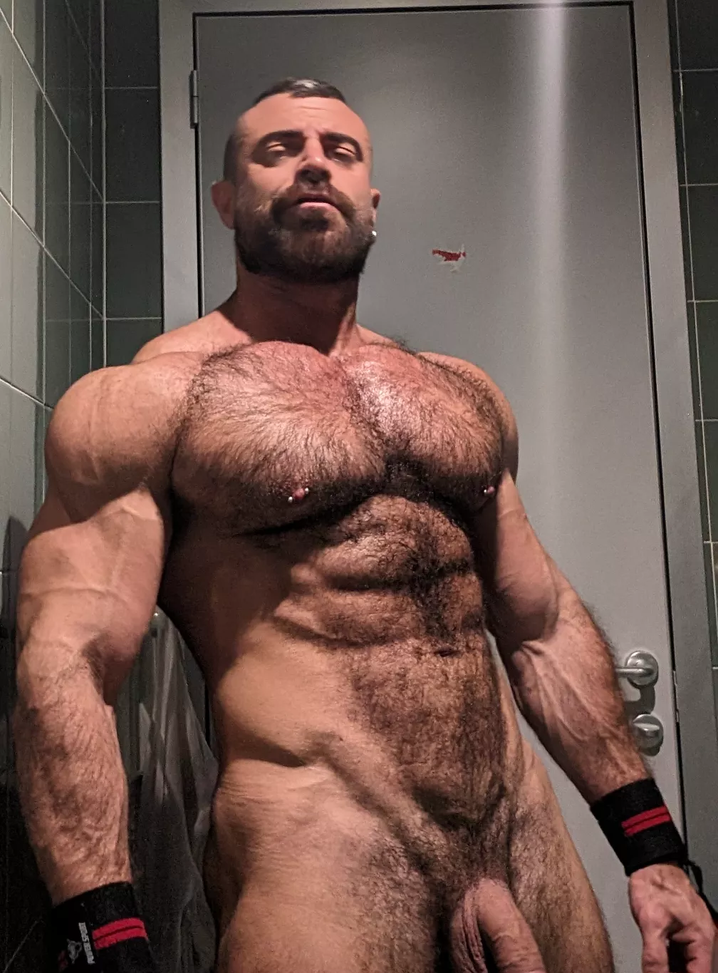 Be honest would you let me breed you? posted by antonycortinovis