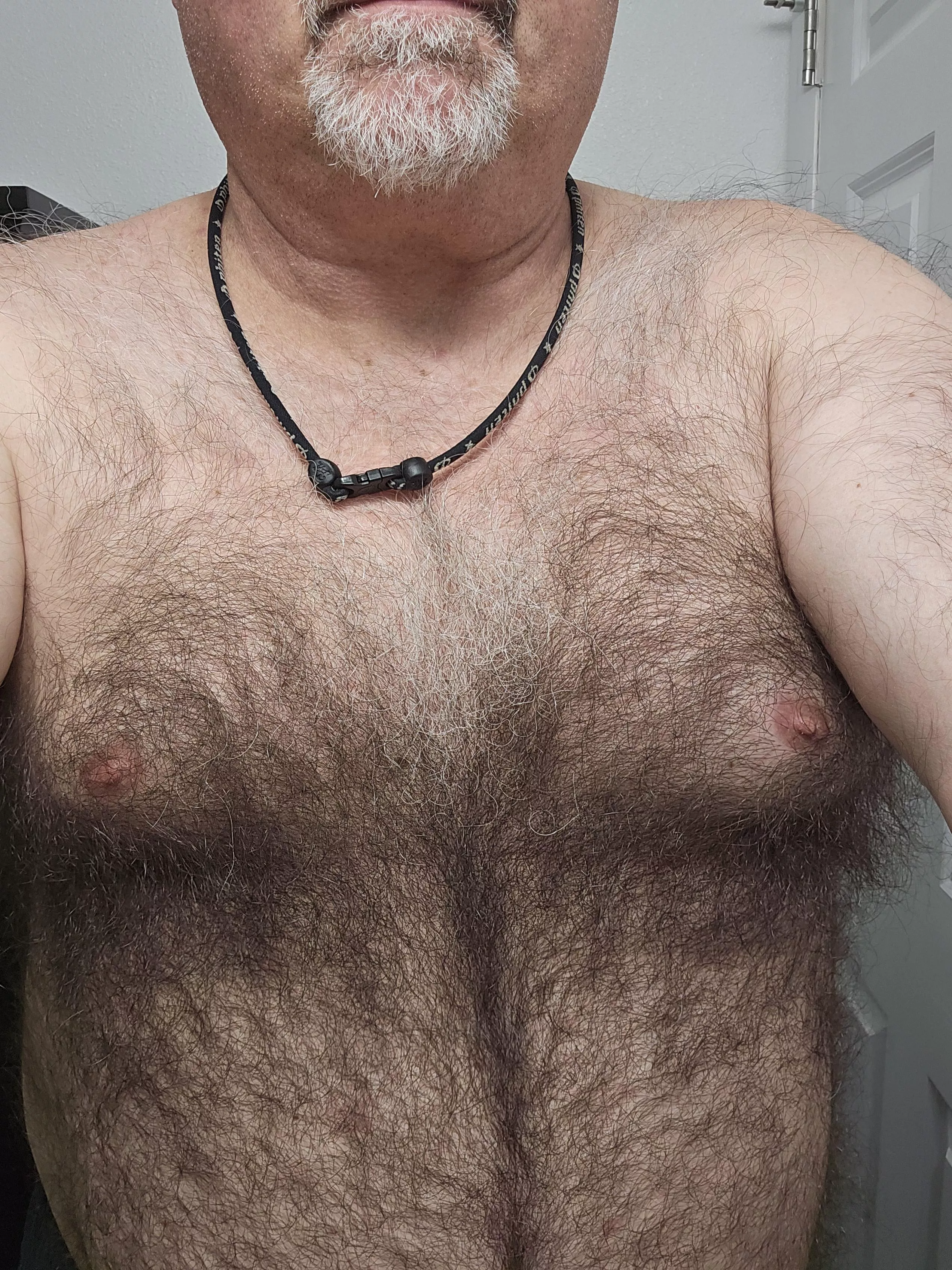 Bi married 61 bear posted by daveneverett