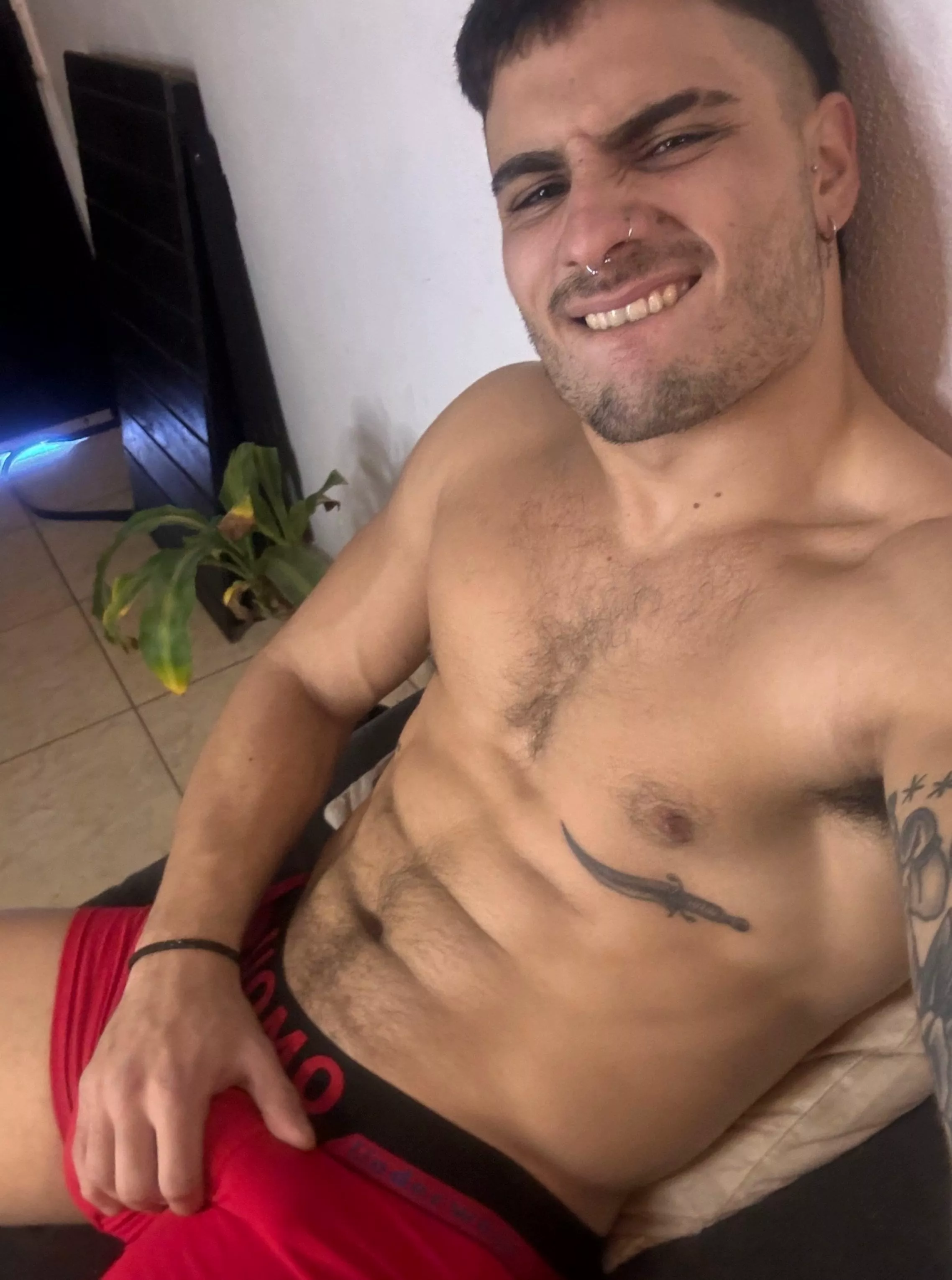 Bulging beauty bares all (almost) posted by OlieTheKing