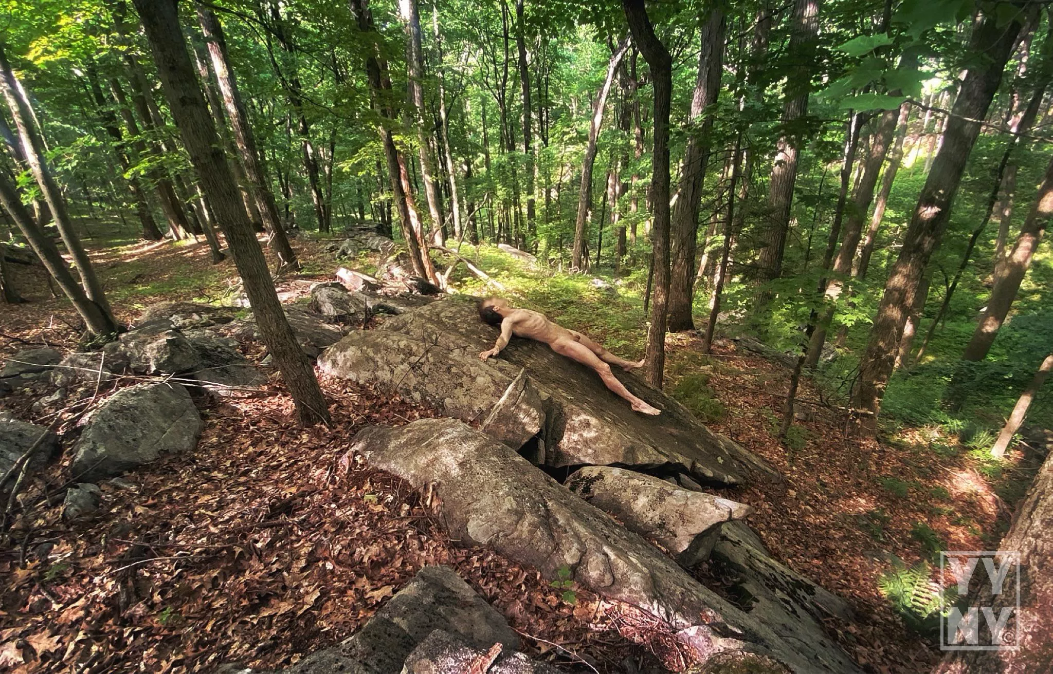 I found my Bedrock … Yabba Dabba Doo!!! 🪨  posted by YangYangNY