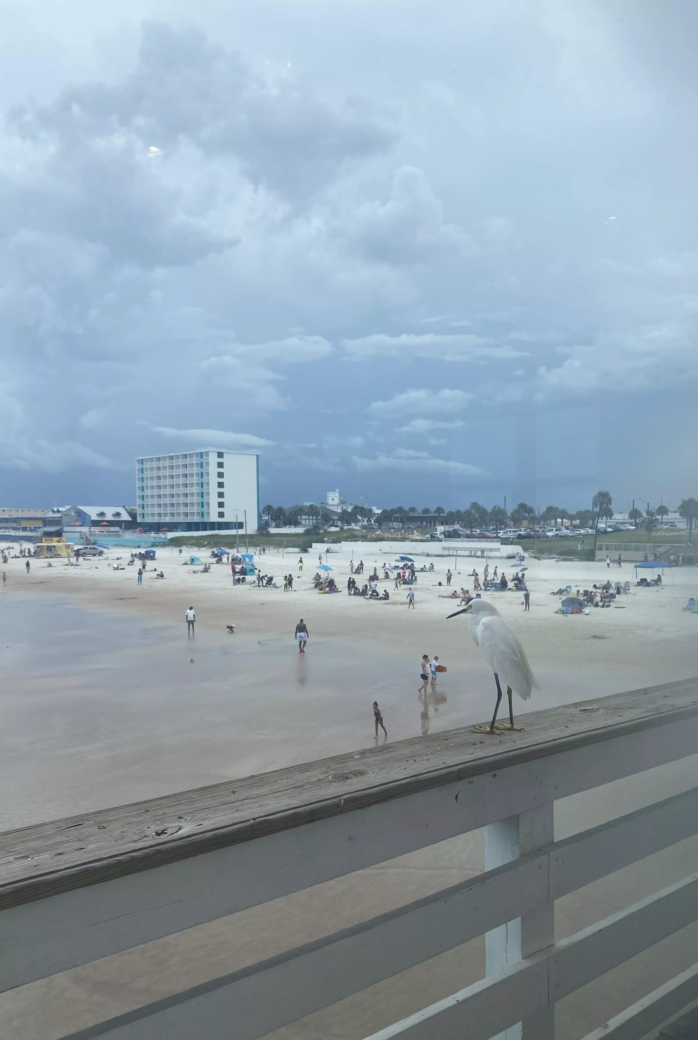 Keeping Watch posted by doobie00