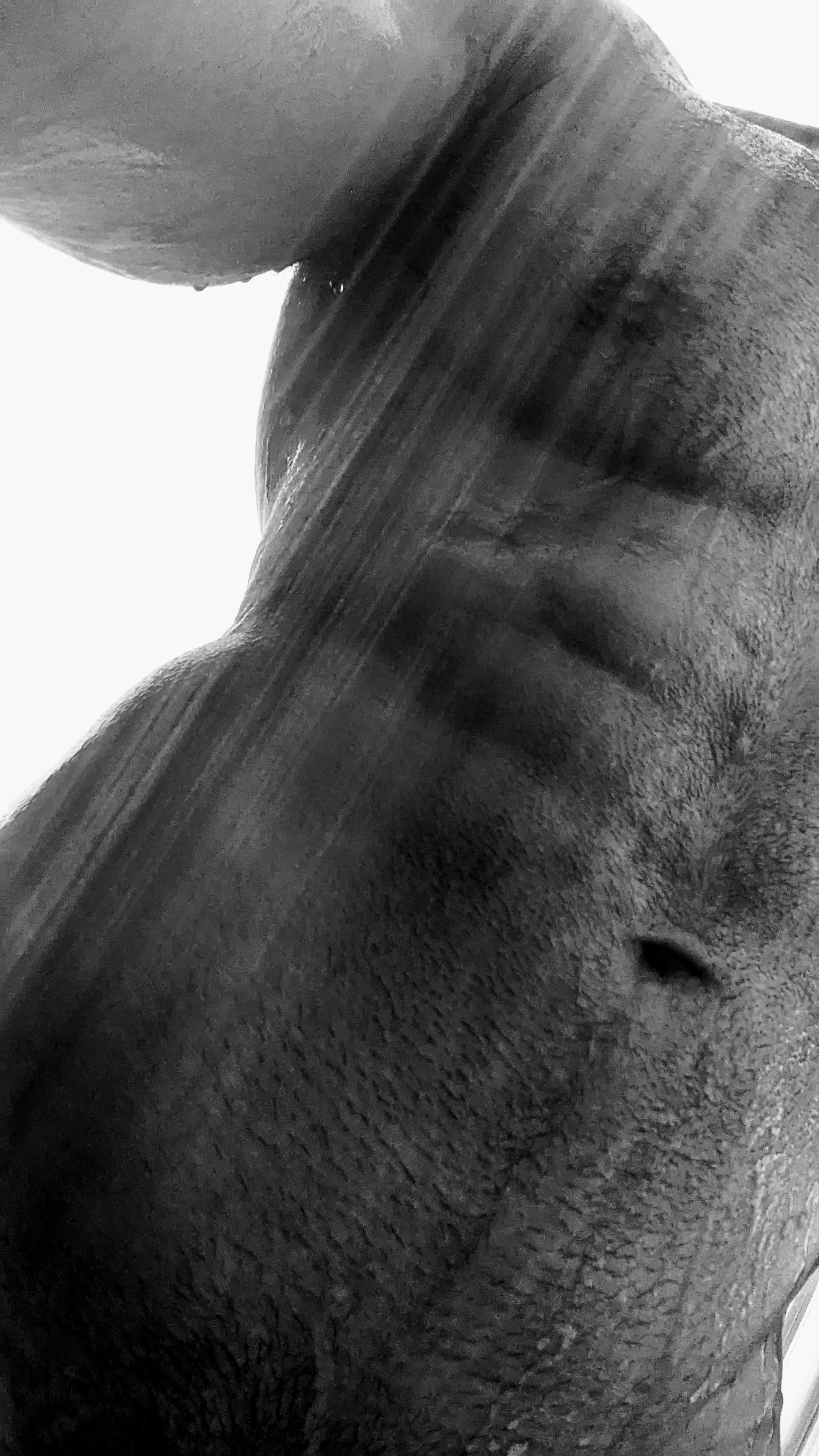 Your view if you were on your knees in the shower with (m)e 🥵 posted by SmartANDRipped