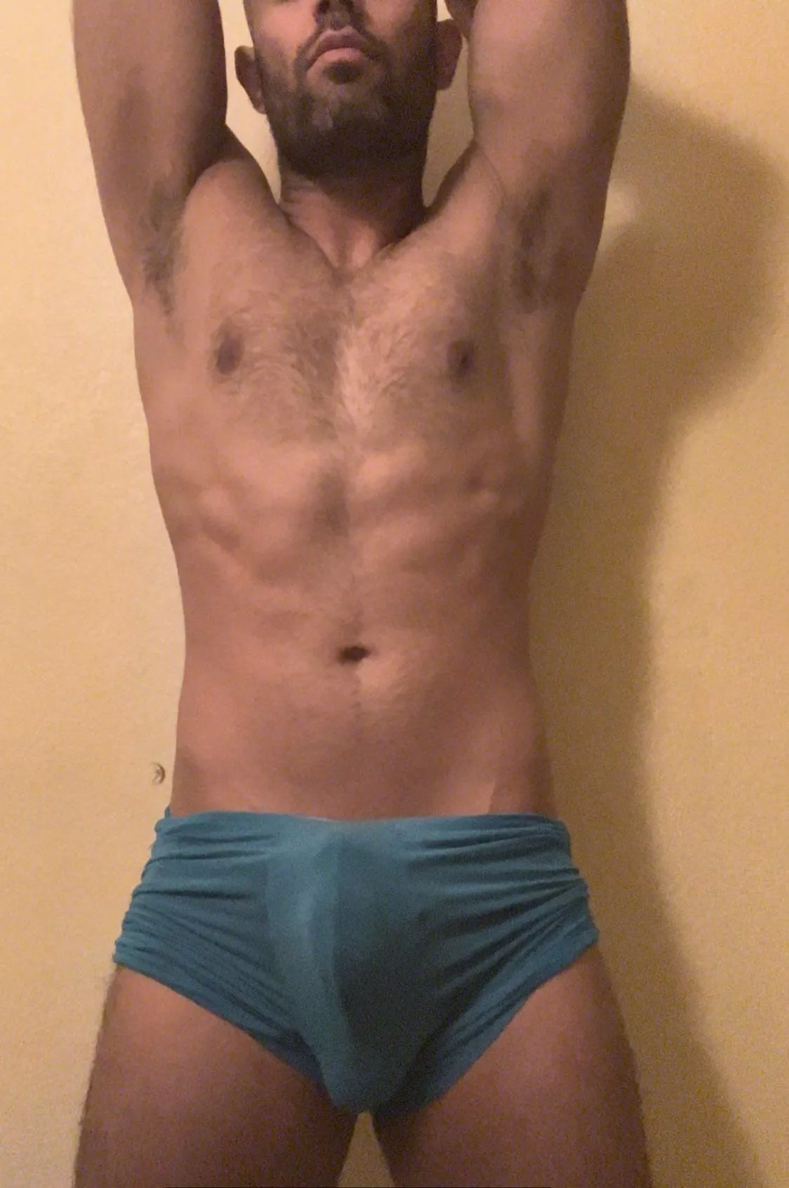 30 Male Bull Las Vegas  posted by CobraSlushi