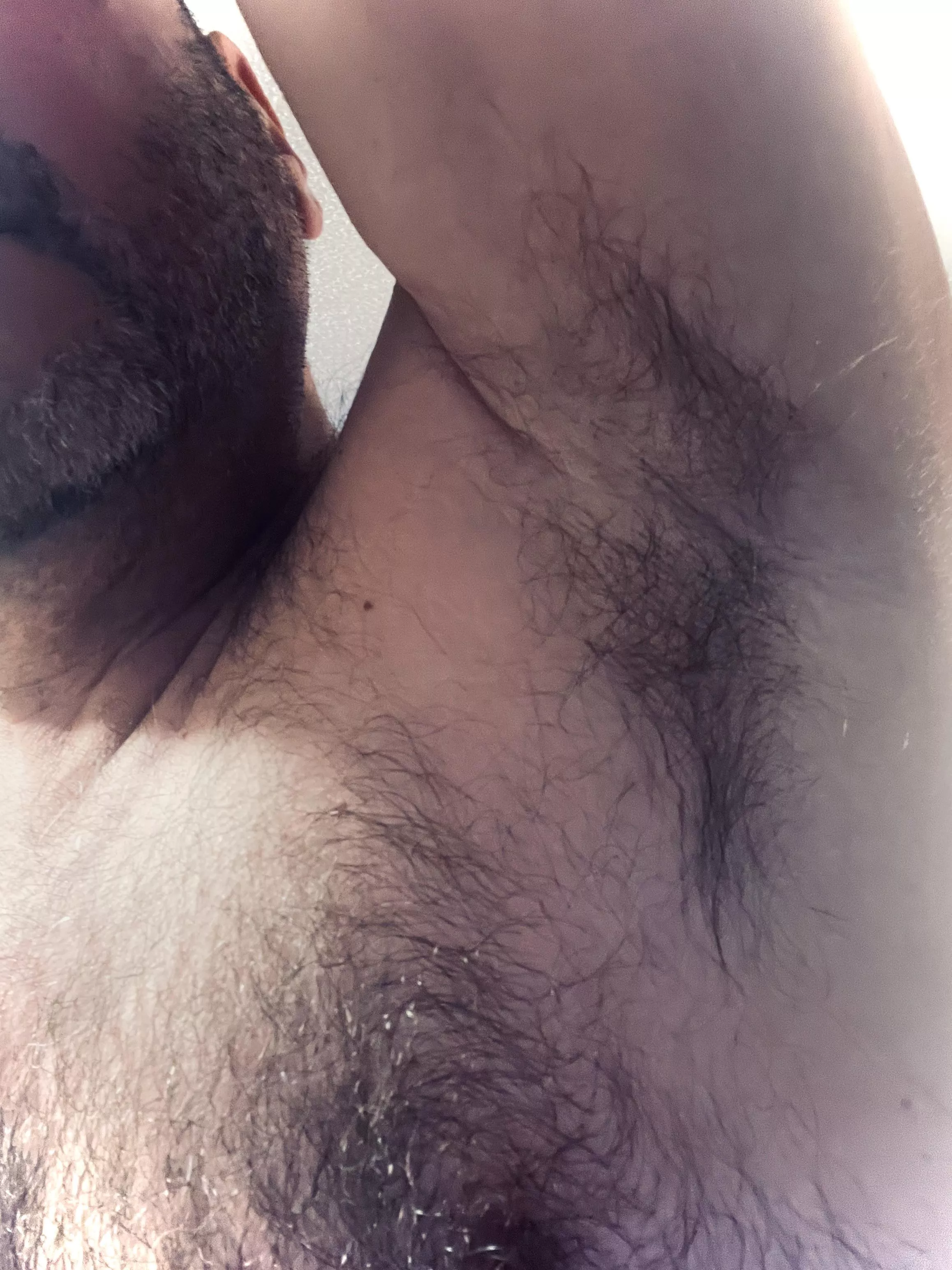 Bury your face? posted by bostonbad237