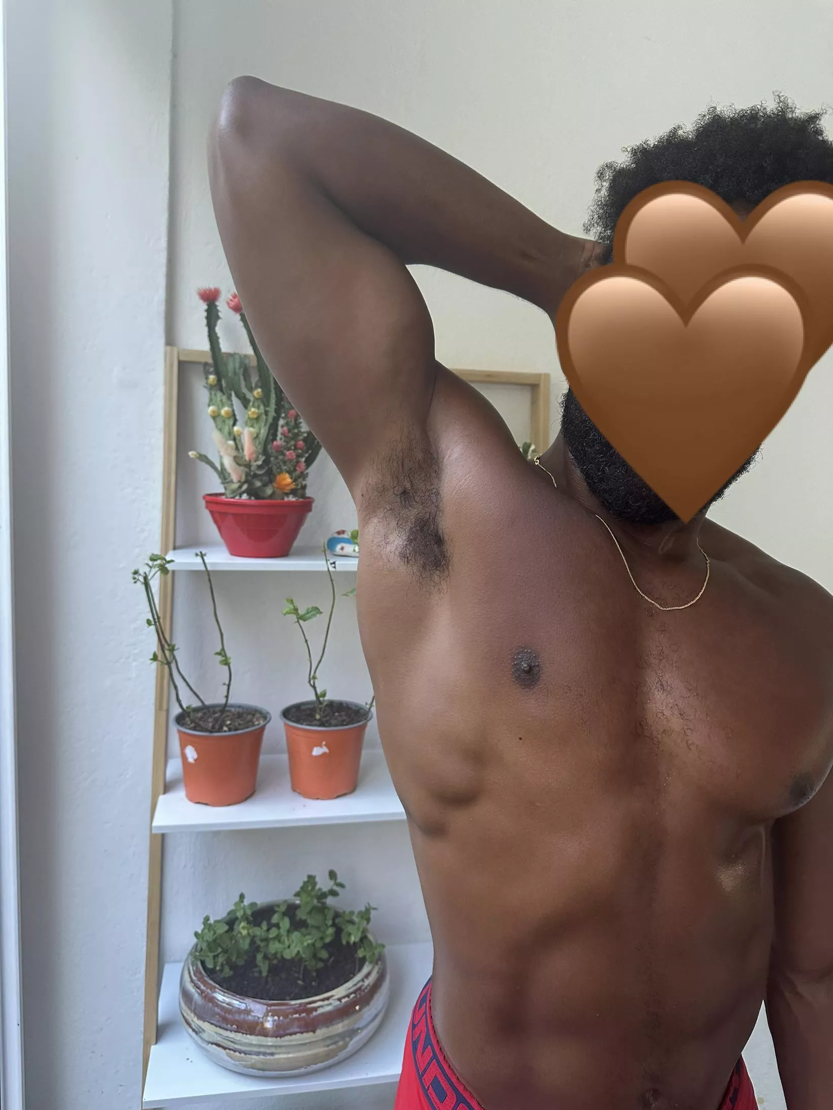 Do you like my mint garden? posted by brownxsky