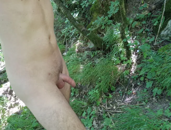 I know a little trail in the woods where you can walk like this without being worried. Well here I am by Greatgrato