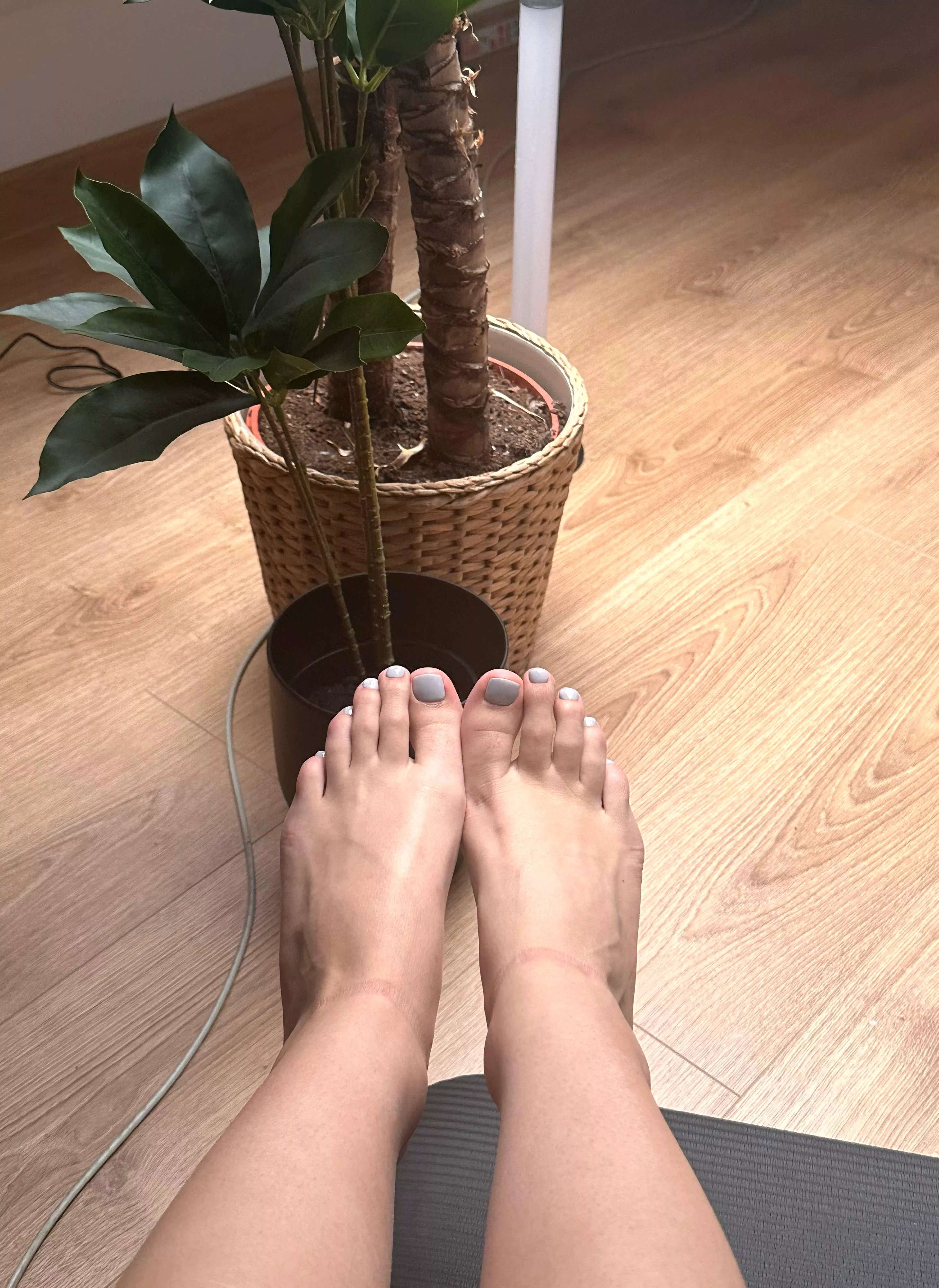 i know u like my feet posted by majorgirlyslut