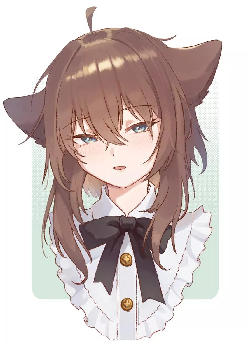 More cats 🤤🤤  posted by 100plus_espuma