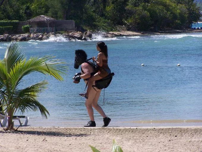 Traveling to Portlandia posted by Magggot4life