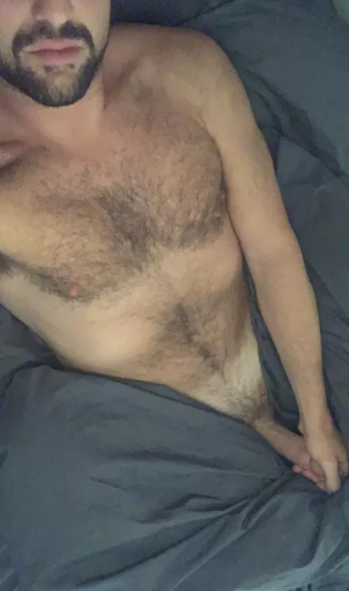 28 cali bro fit here straight curious I guess. Big bro here Former college football linebacker and lax bro looking for fit bros, jocks, pretty boys, chill ppl and fit or slim fit dudes hmu @bustaaaruss by Brodiefootballer