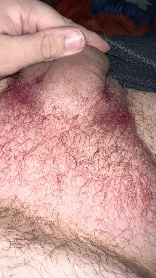 A week ago by The-Hairy-Nerd