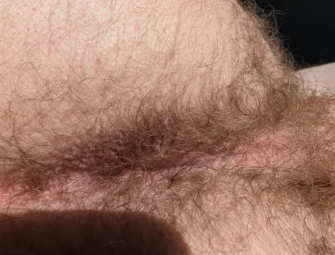 Can you even find my hole in all this fur? by responsive-banana