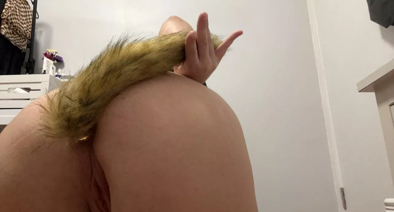 Favourite plug posted by AloneObject1408