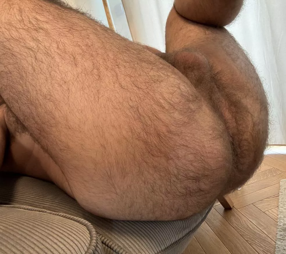 Hairy enough? posted by MessHot2487