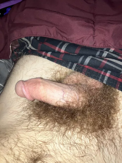 19 look good soft?  by urboy2005