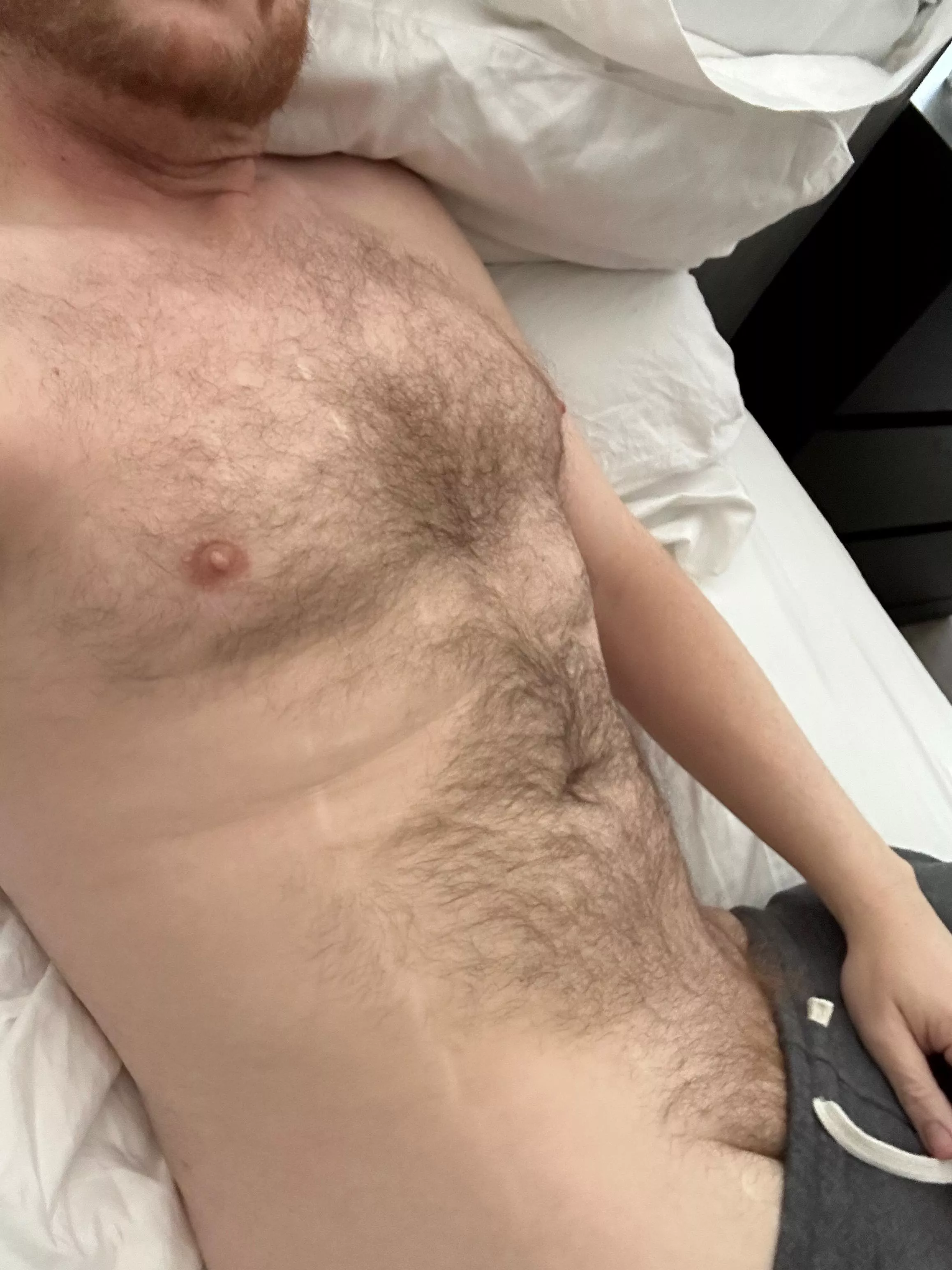 [39] Furry buddy posted by Existing_Mushroom214