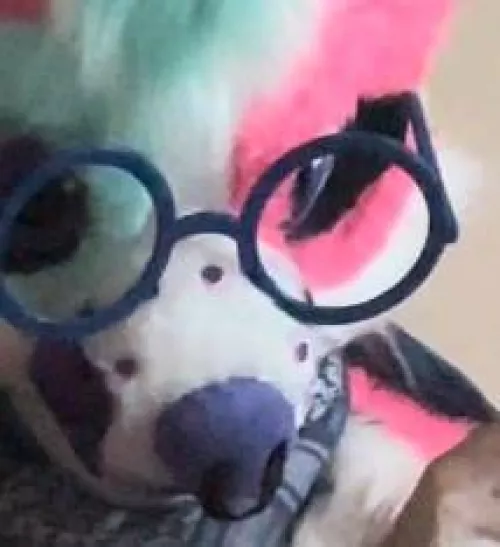 She’ll stare at you like this until you give her boops >:3 by Ancient_Summer_1833