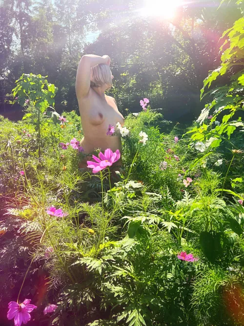 Untamed  by annieriviera