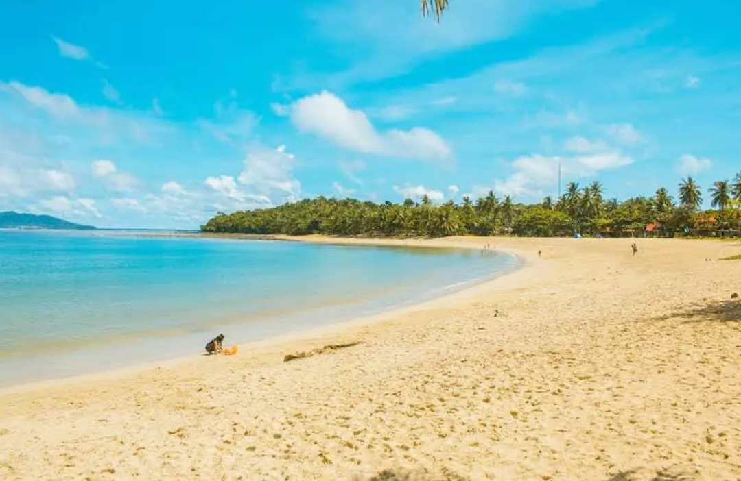 Wonderful and Breathtaking Beach posted by Best_Bag9342
