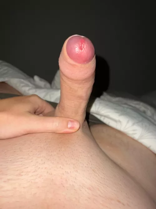 24 Dutch. What do u think of this foreskin? by sandervh99