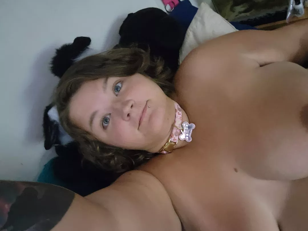 Bought my wolf puppy lyria new collar and set of ears today for being a good girl all week.  posted by greywalkercudd