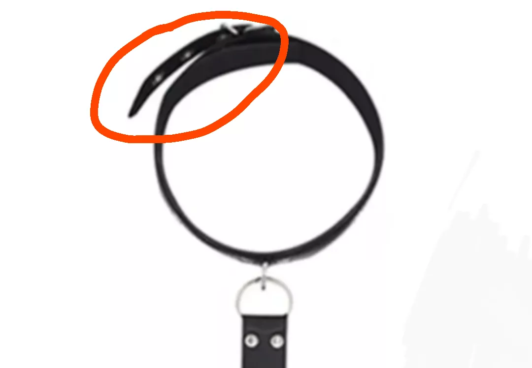 Can you suggest a collar that doesn't have this part sticking out? posted by an_ordinary_sub