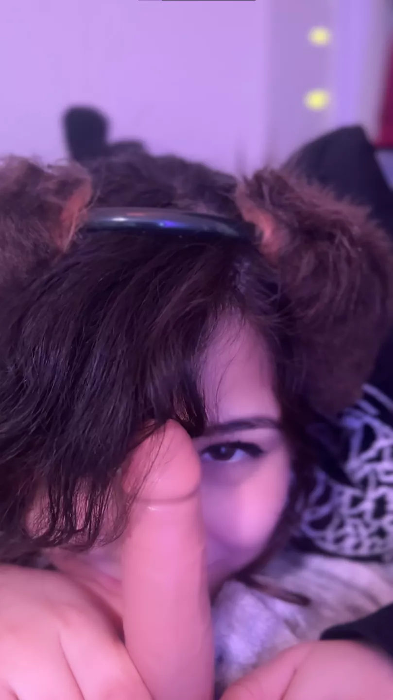 happy puppy :3  posted by PupFiggy