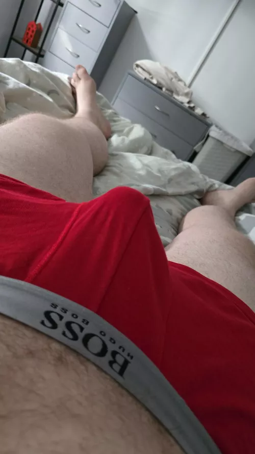 Hey! Masc married bi lad from UK. Rugby build and precum a lot. HMU @ws198989 You won't be disappointed, love all kind of guys so come chat. by WelshLad89292