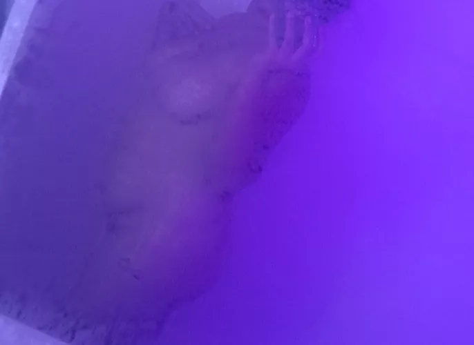 My shower was a bit steamy  by Ellieerotica2