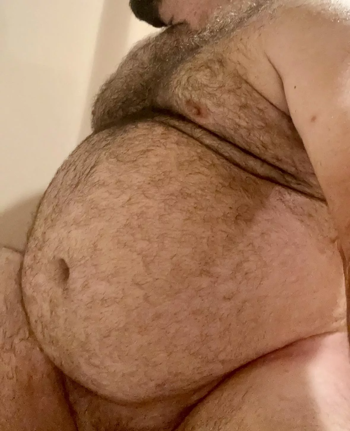 Am I your type? posted by Nearlyruinedpig