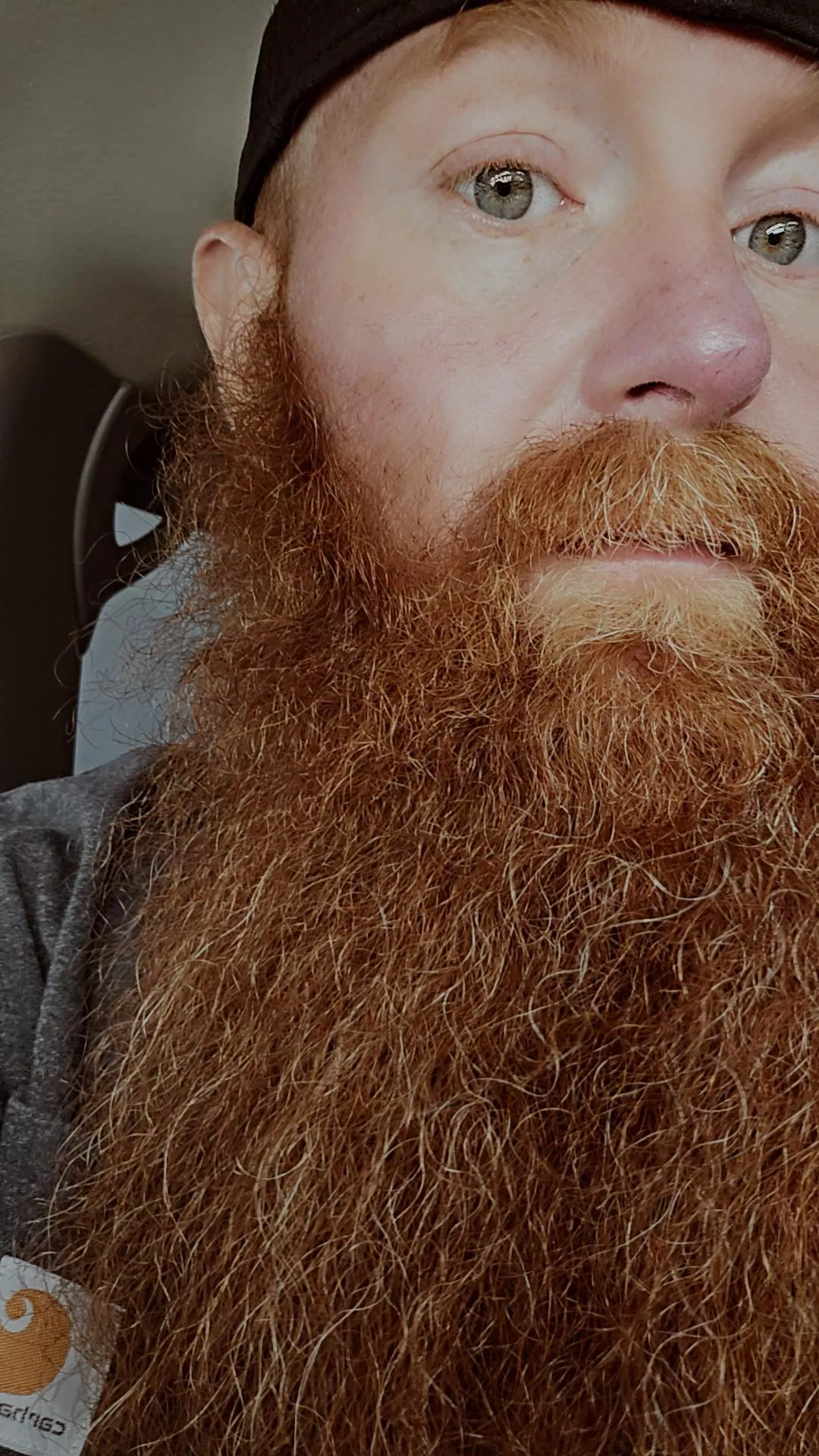 Do you think he is as pretty as I do  posted by Particular_Product_9