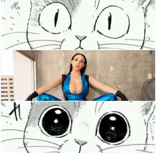 I agree with you cat here by DryFollowing4690