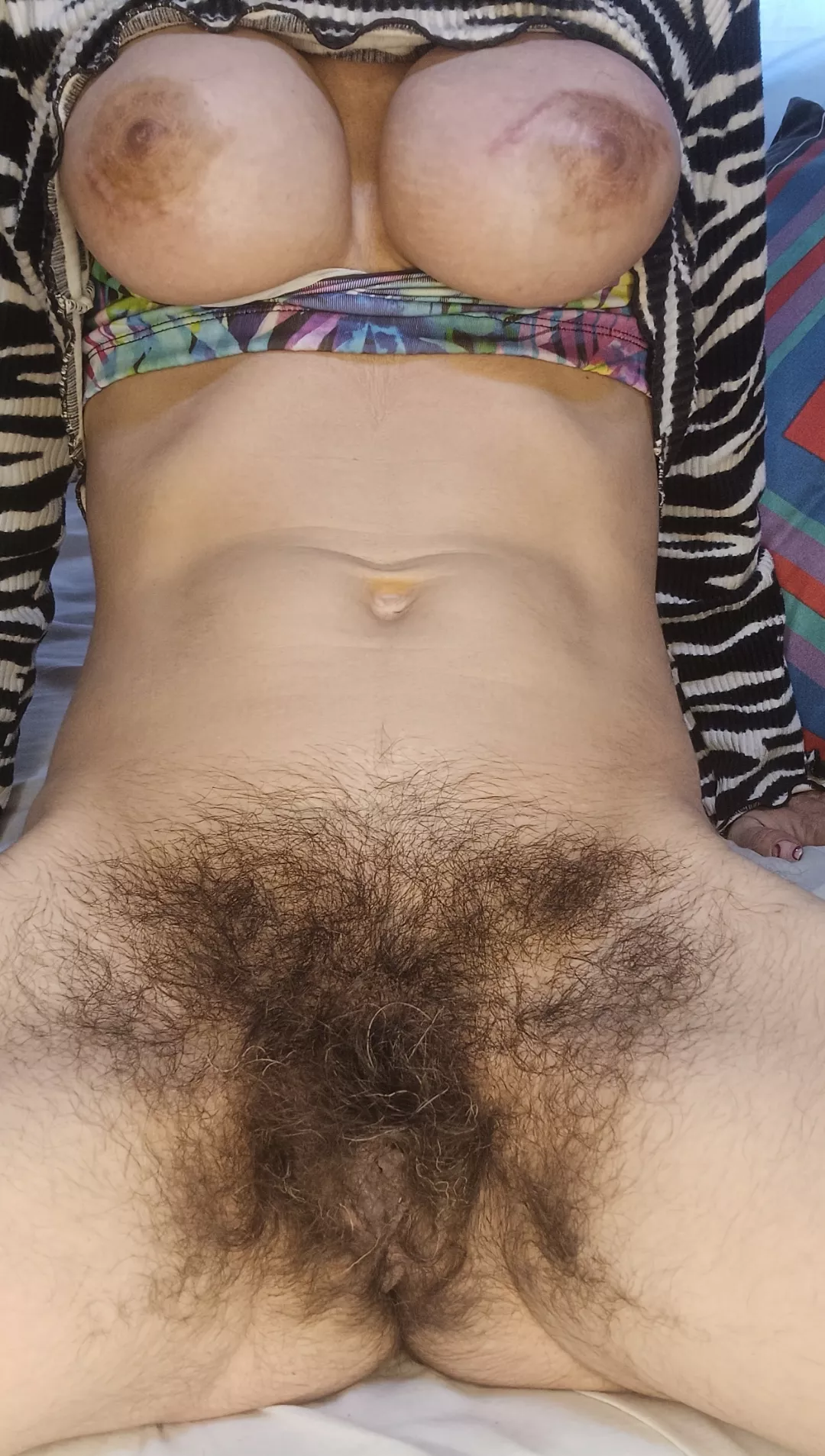 my multicoloured hairy pussy  posted by Vero_hairy6096