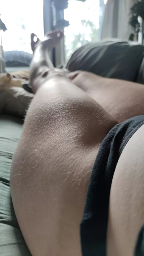 The morning light through the windows of the van always enhance the tiny hairs 🌞 by ritesofpassage_of