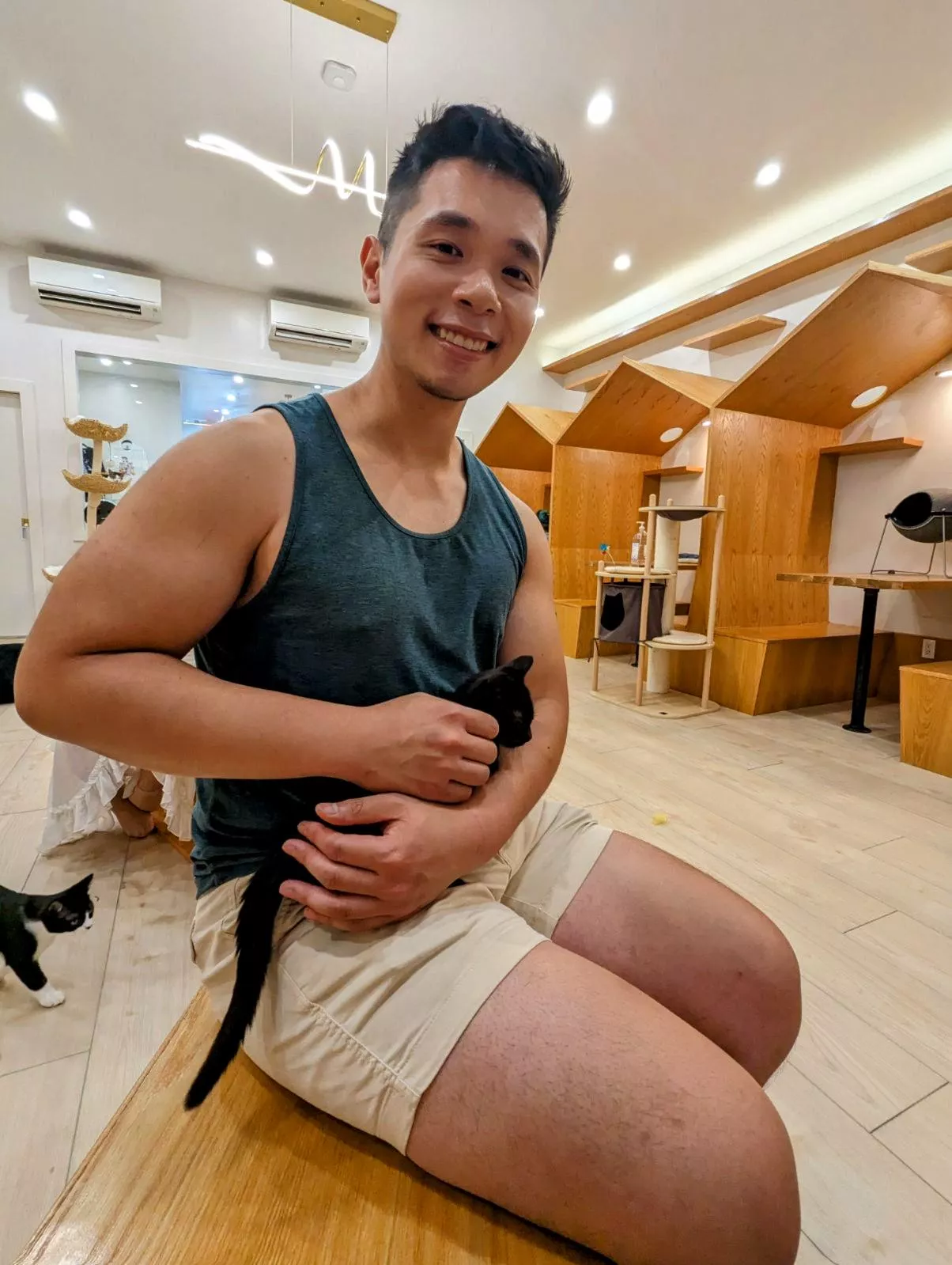 this lil dude sat in my arms for 10 mins 😻 posted by SofaKingAsian