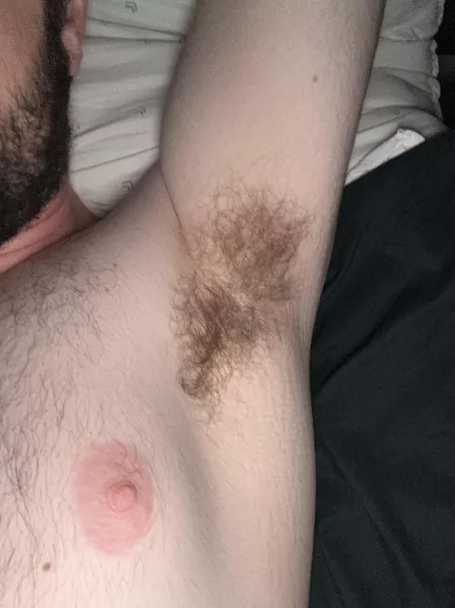 [22] Late night pits. Give ‘em a sniff while we cuddle, bro? by g1mmesomewood