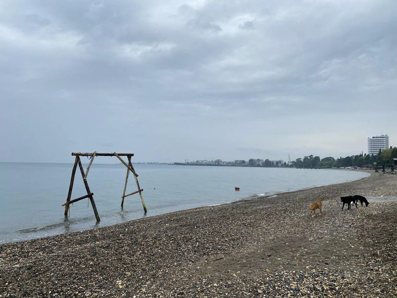 Abkhazia 🌊 posted by CommunityOrnery9887