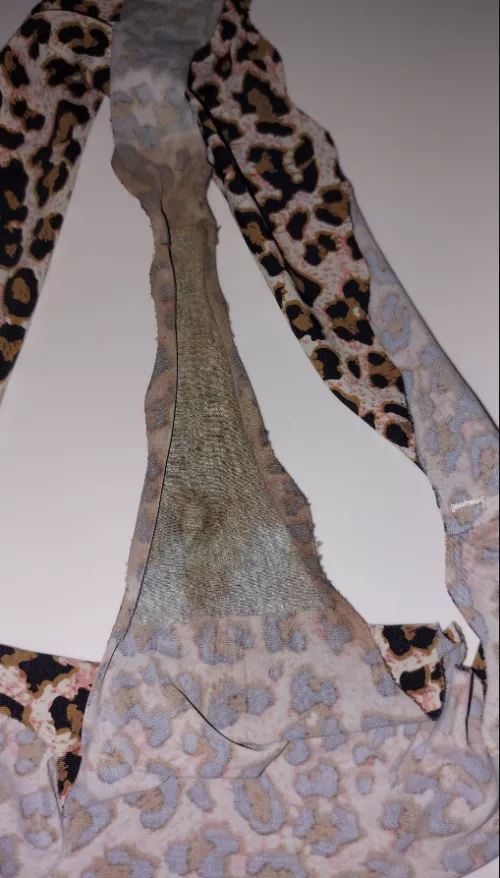 Give me 3 reasons to have it licked by Lazy-Calligrapher794