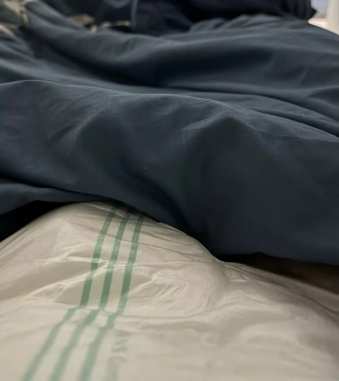 I want a DL to take care of<3 posted by DiaperedTkitty