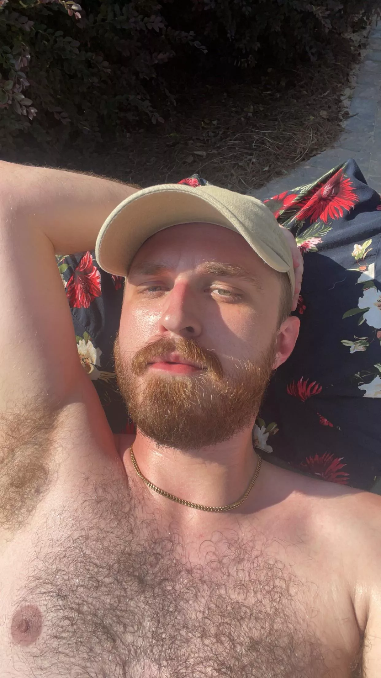 Lounging in the sun posted by Interesting_Row8358