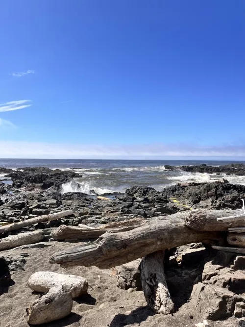 OR. by Wellrimlightfisher25