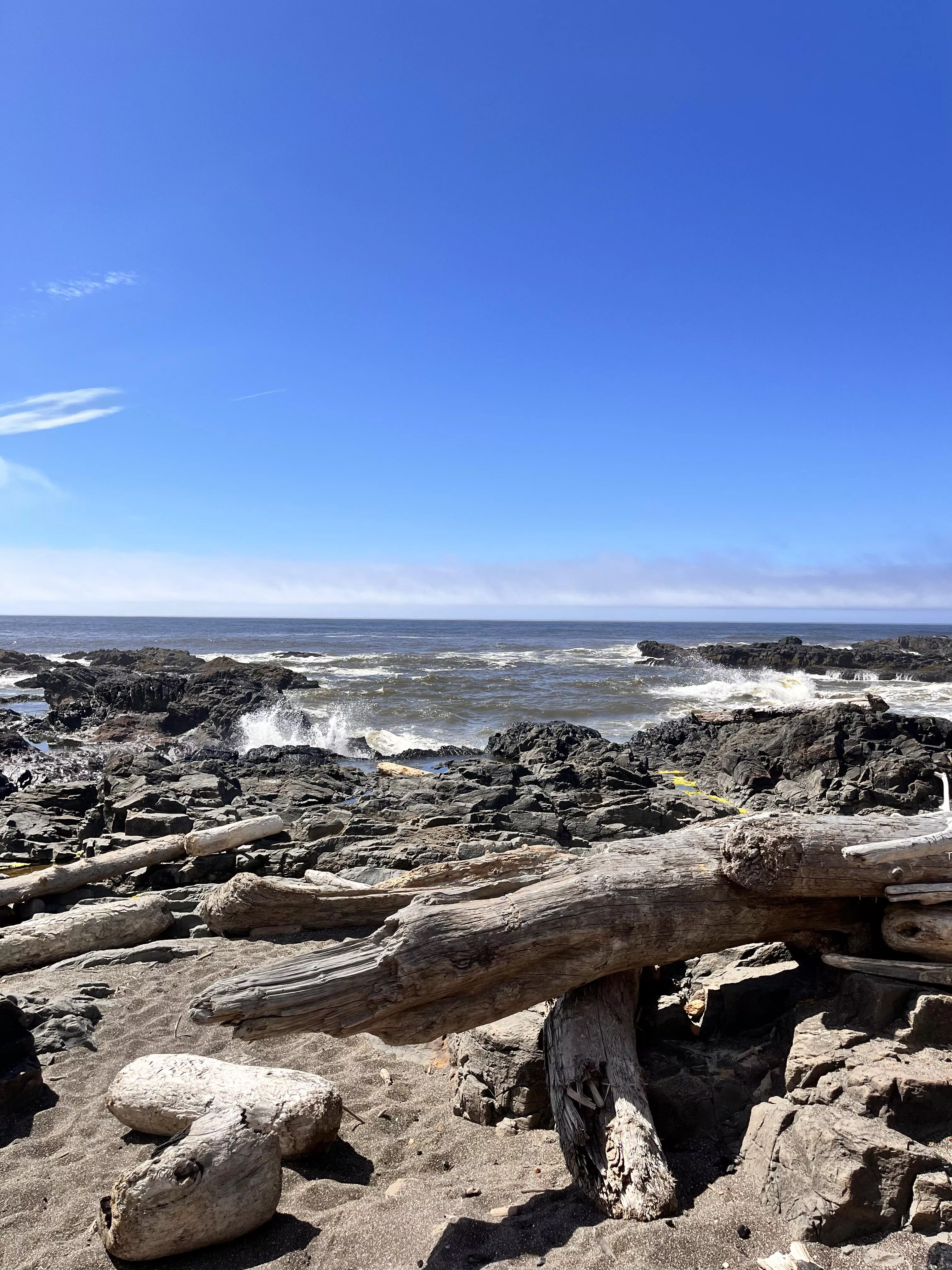 OR. posted by Wellrimlightfisher25