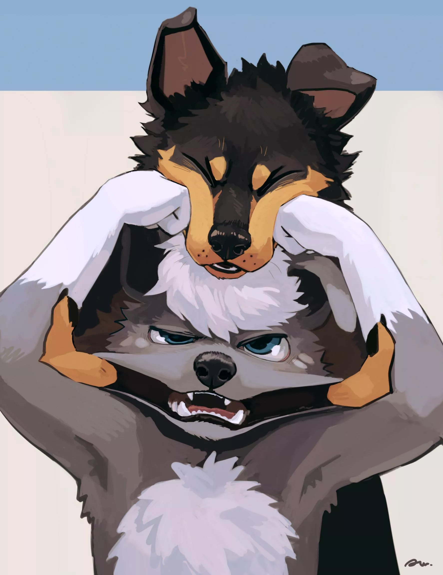 Playful Fighting [awwchang] posted by DL2828