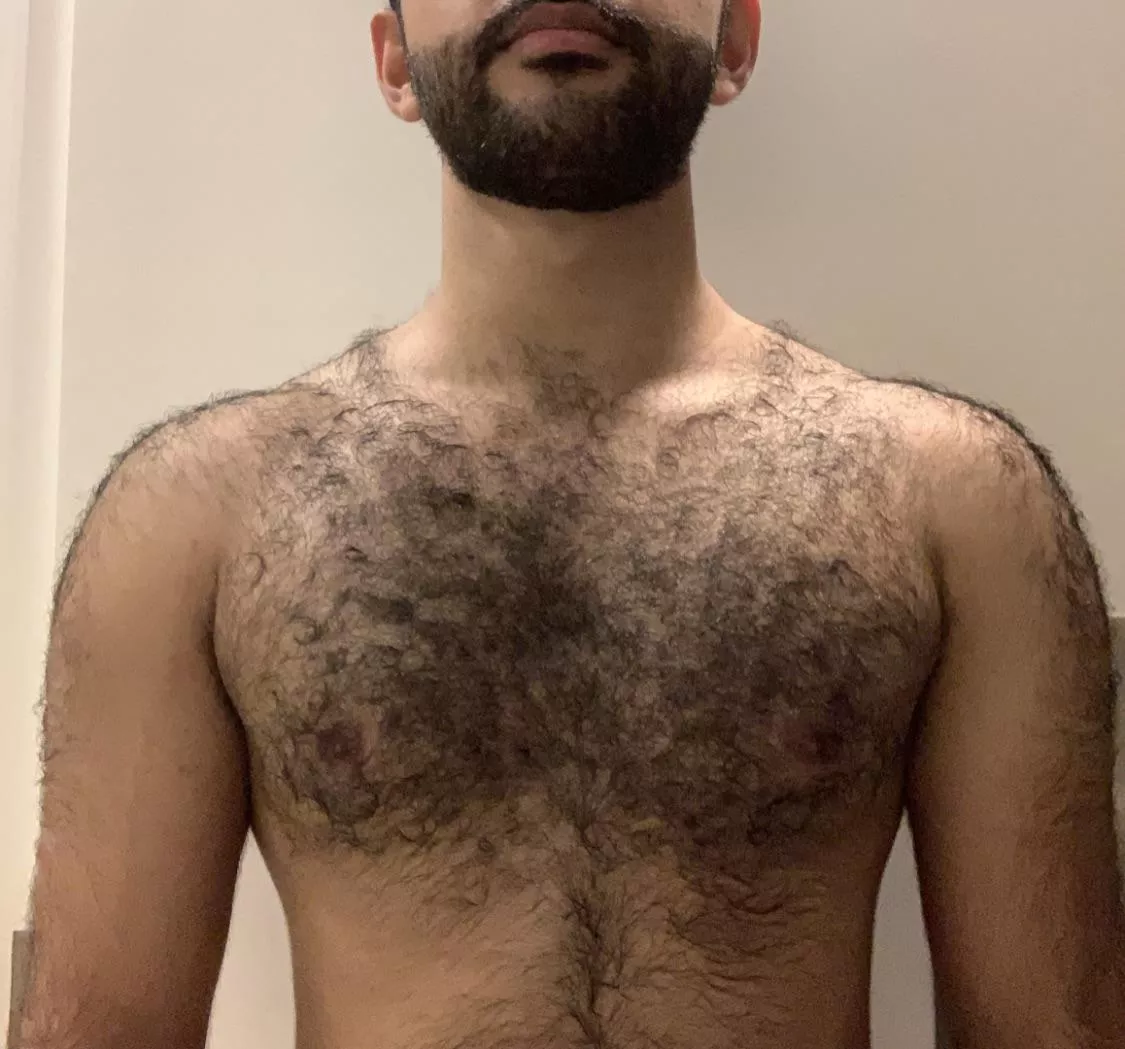 This is how a man’s chest should be  posted by Jash_95